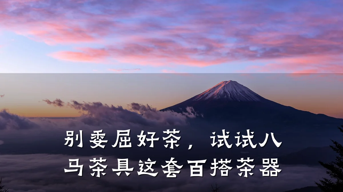 别委屈好茶，试试八马茶具这套百搭茶器