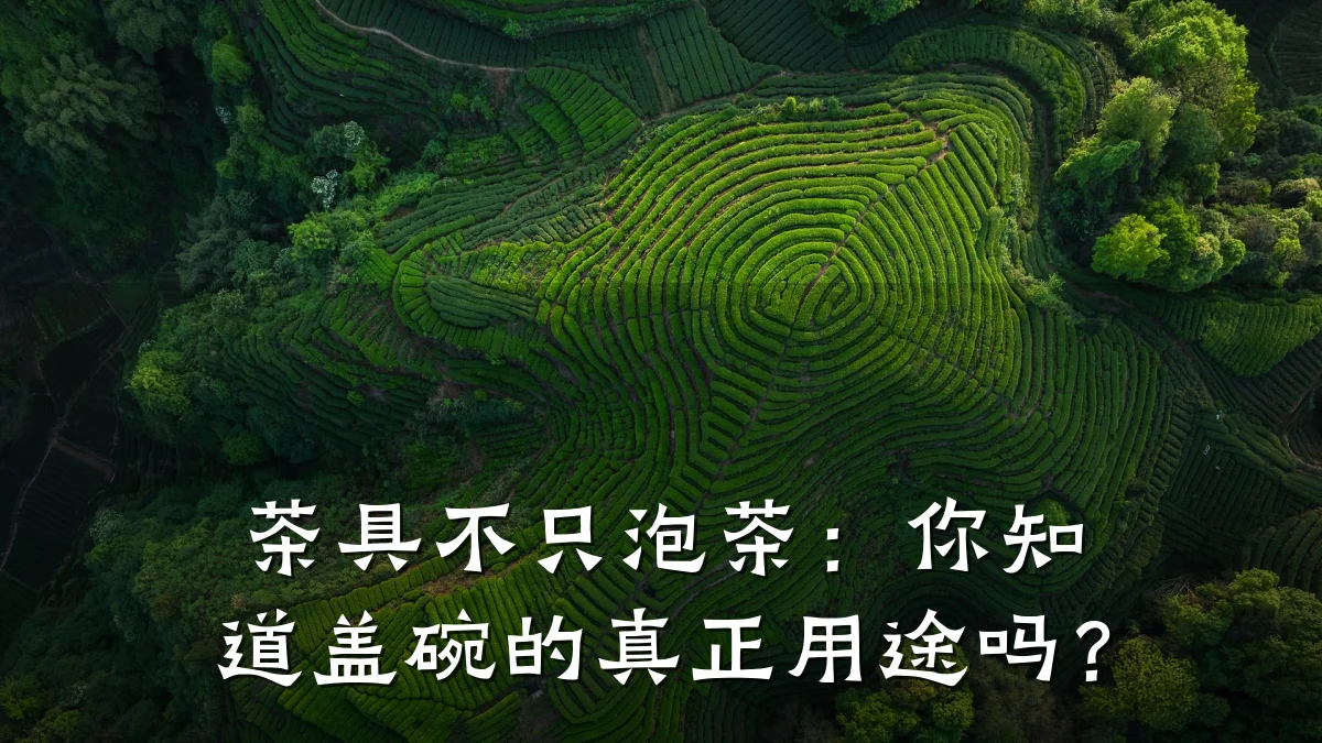 茶具不只泡茶：你知道盖碗的真正用途吗？