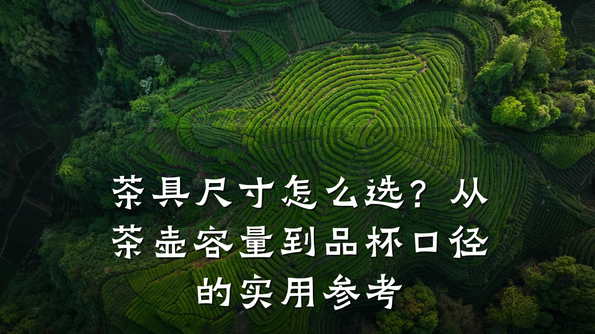 茶具尺寸怎么选？从茶壶容量到品杯口径的实用参考