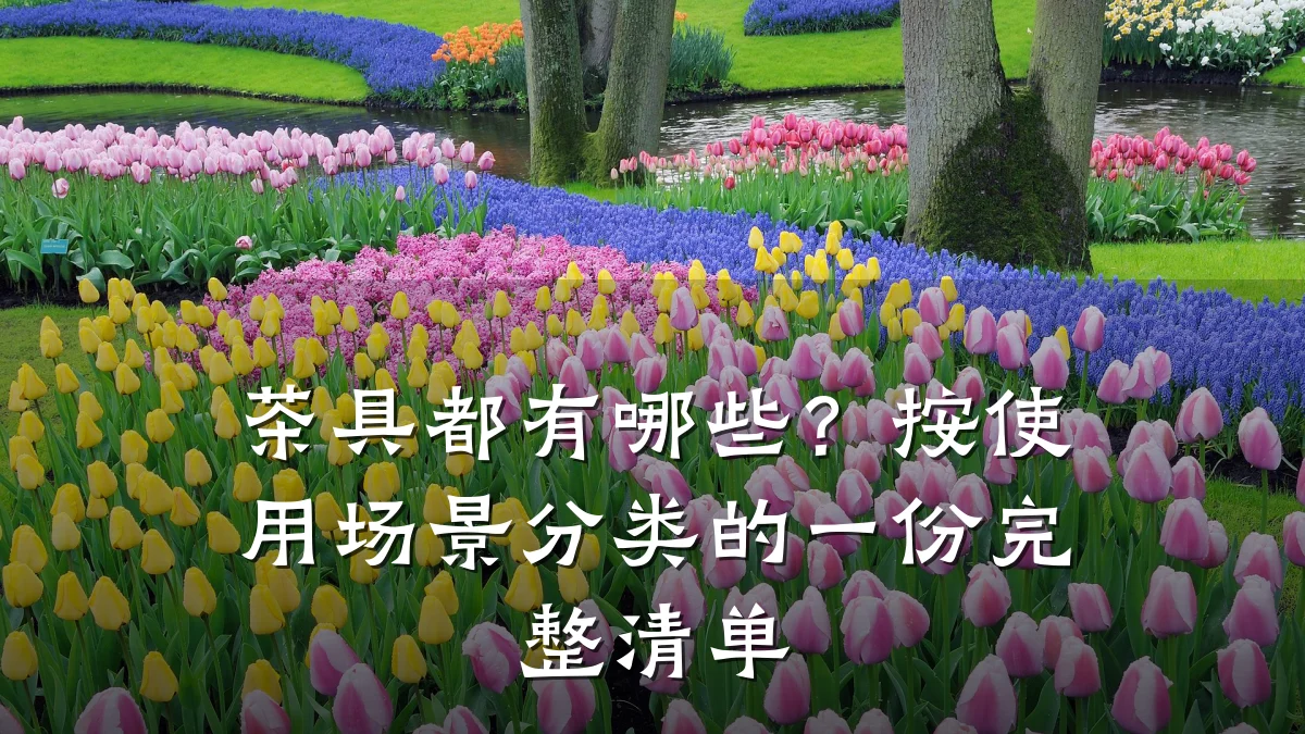 茶具都有哪些？按使用场景分类的一份完整清单