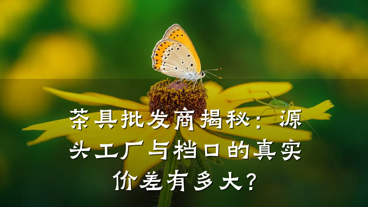 茶具批发商揭秘：源头工厂与档口的真实价差有多大？