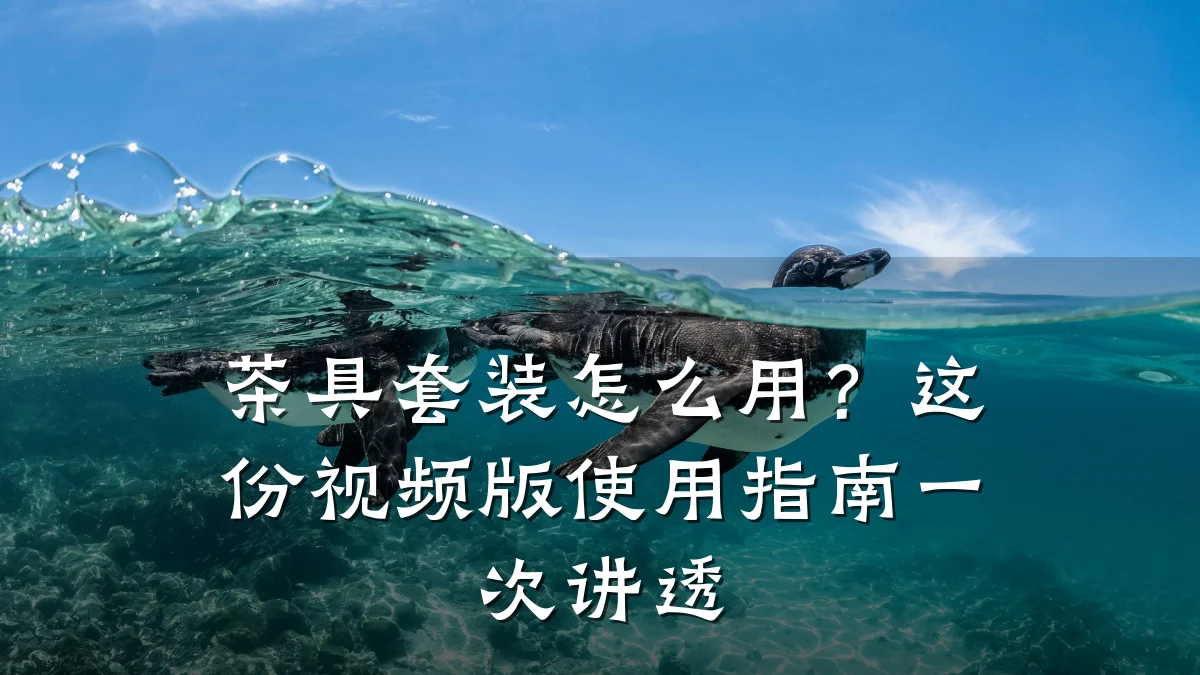 茶具套装怎么用？这份视频版使用指南一次讲透