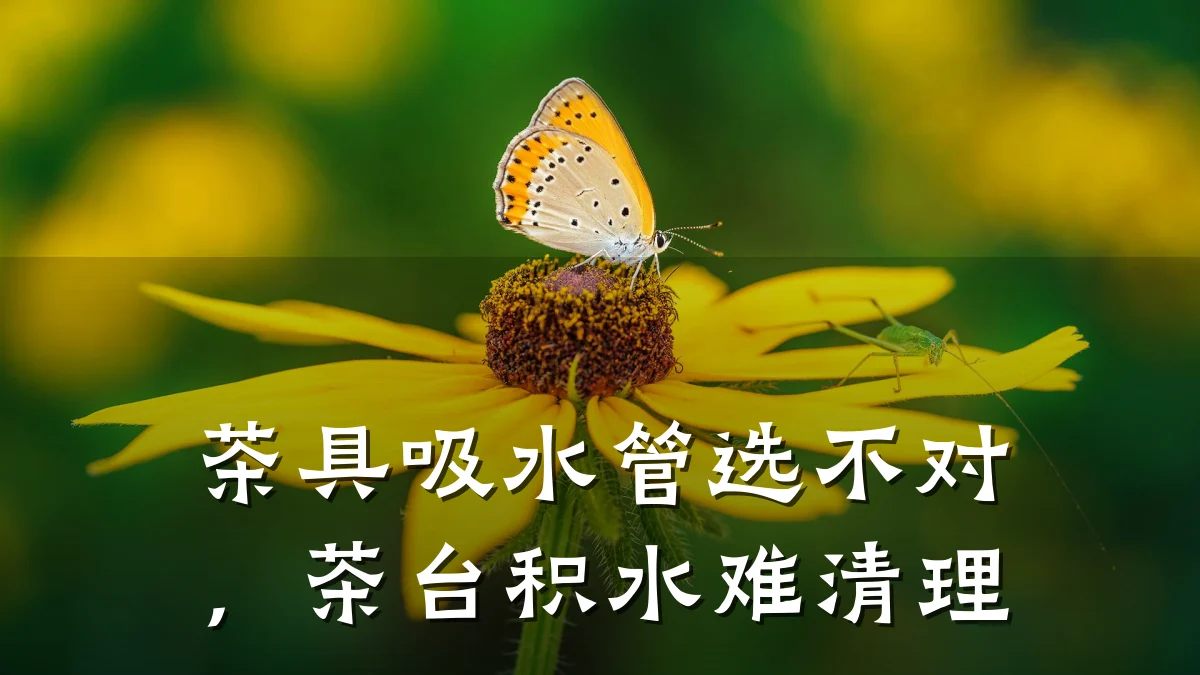 茶具吸水管选不对，茶台积水难清理