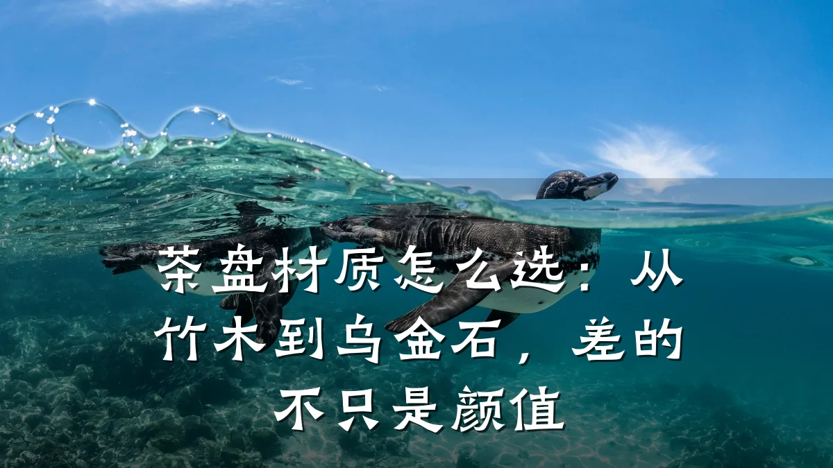 茶盘材质怎么选：从竹木到乌金石，差的不只是颜值