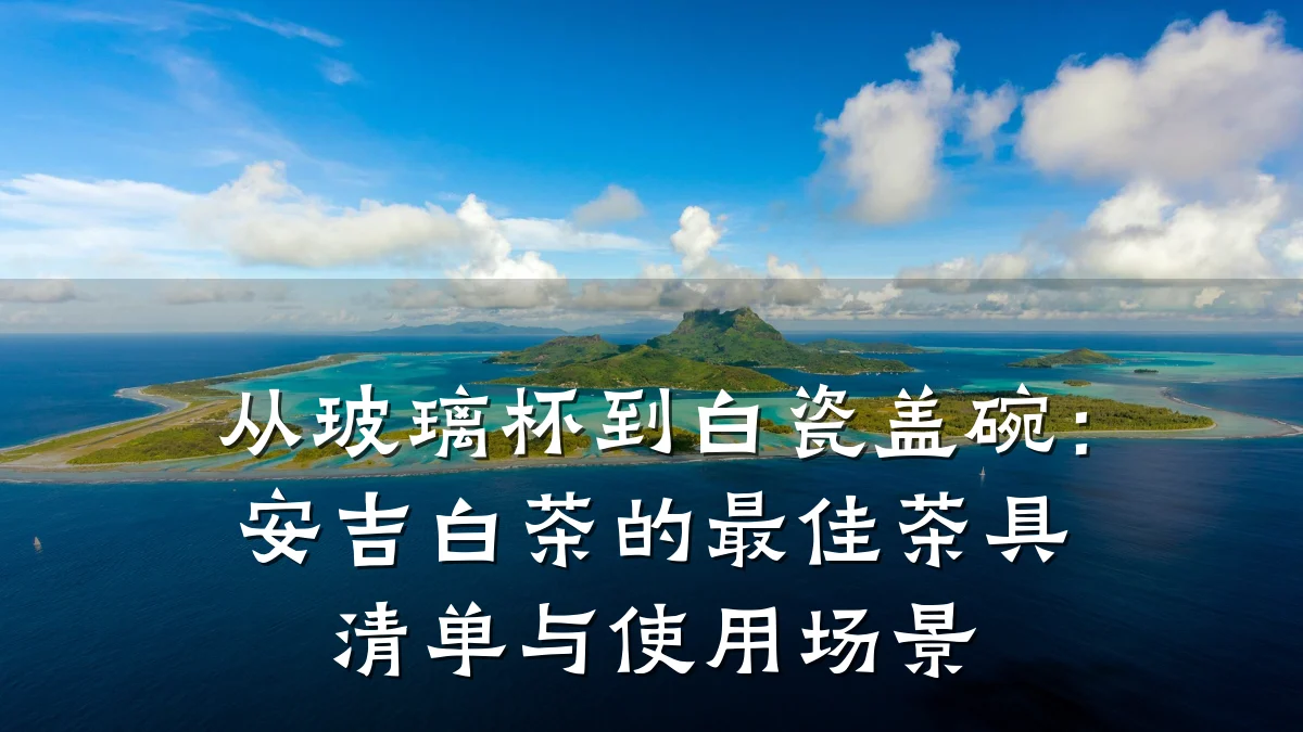 从玻璃杯到白瓷盖碗:安吉白茶的最佳茶具清单与使用场景