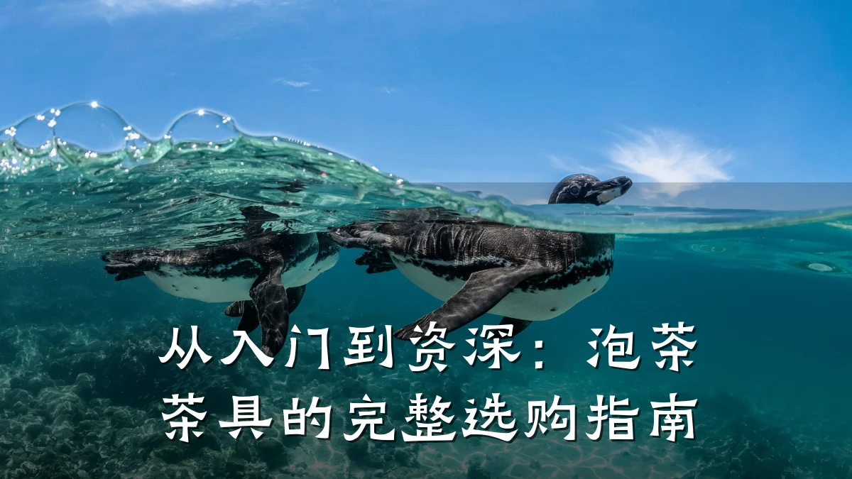 从入门到资深：泡茶茶具的完整选购指南