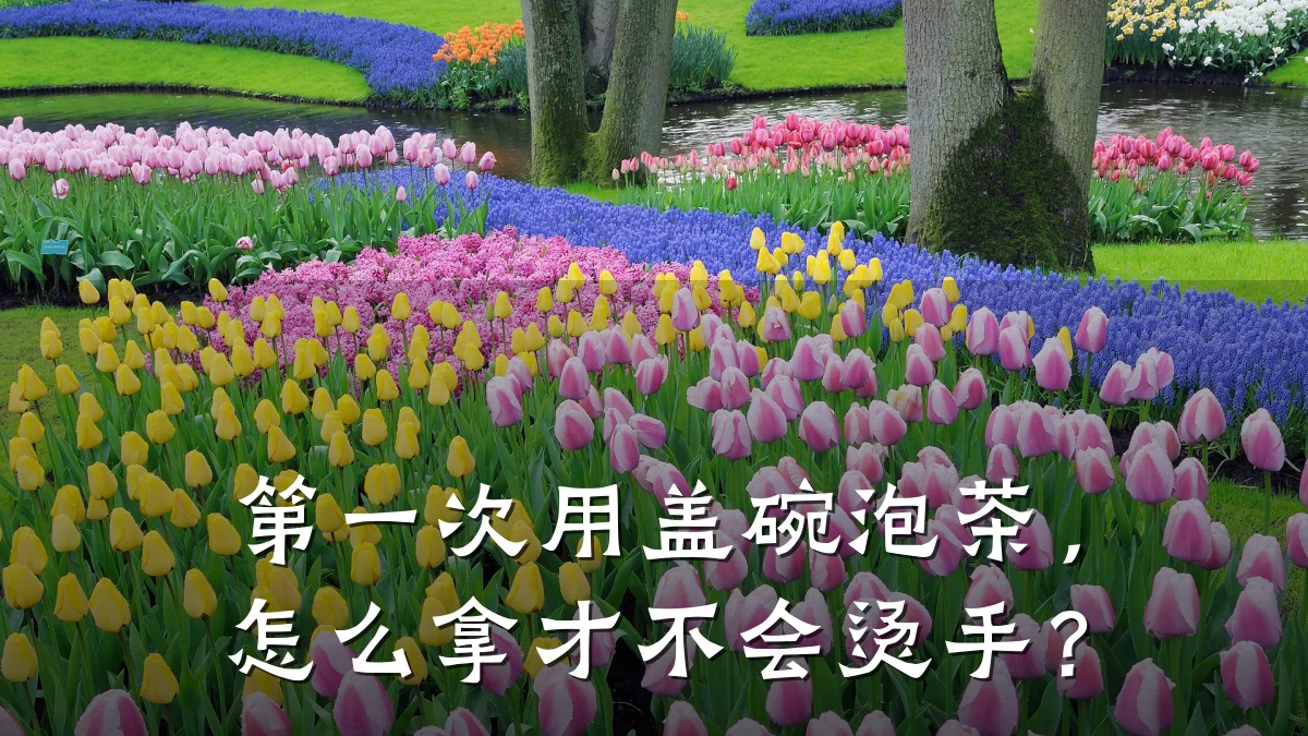 第一次用盖碗泡茶，怎么拿才不会烫手？