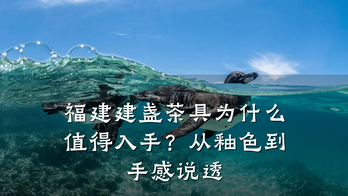 福建建盏茶具为什么值得入手？从釉色到手感说透