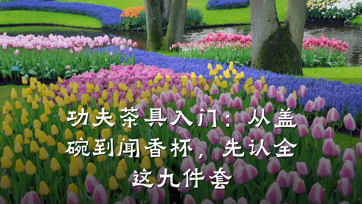 功夫茶具入门：从盖碗到闻香杯，先认全这九件套