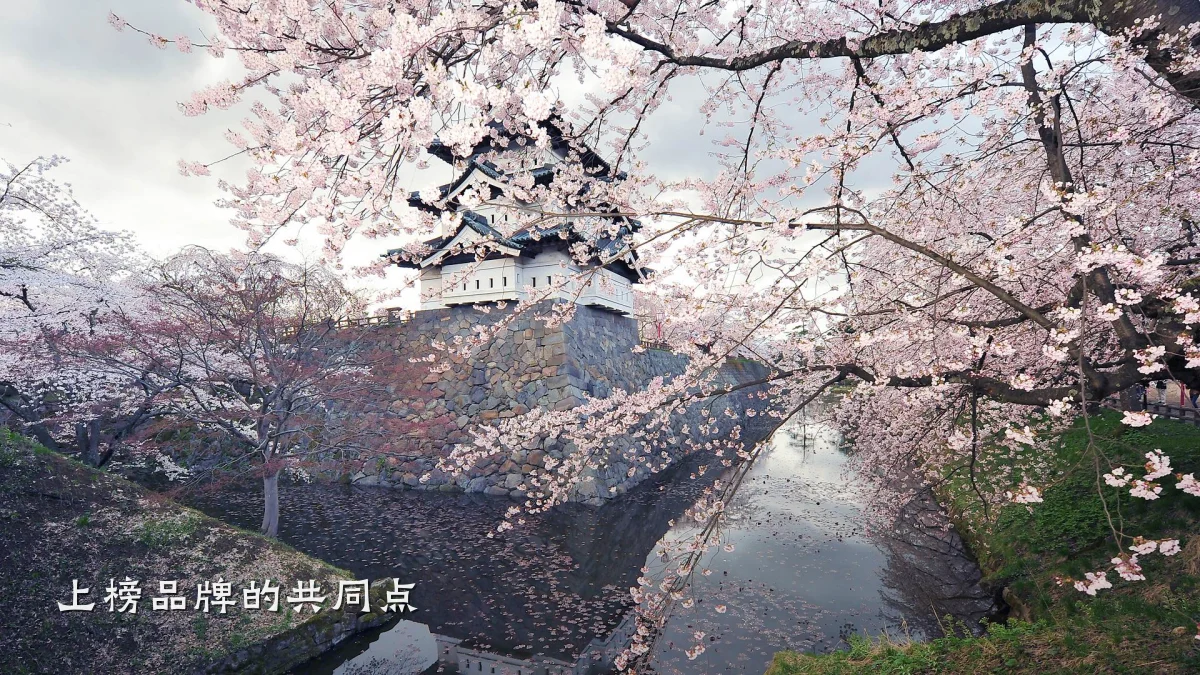 上榜品牌的共同点