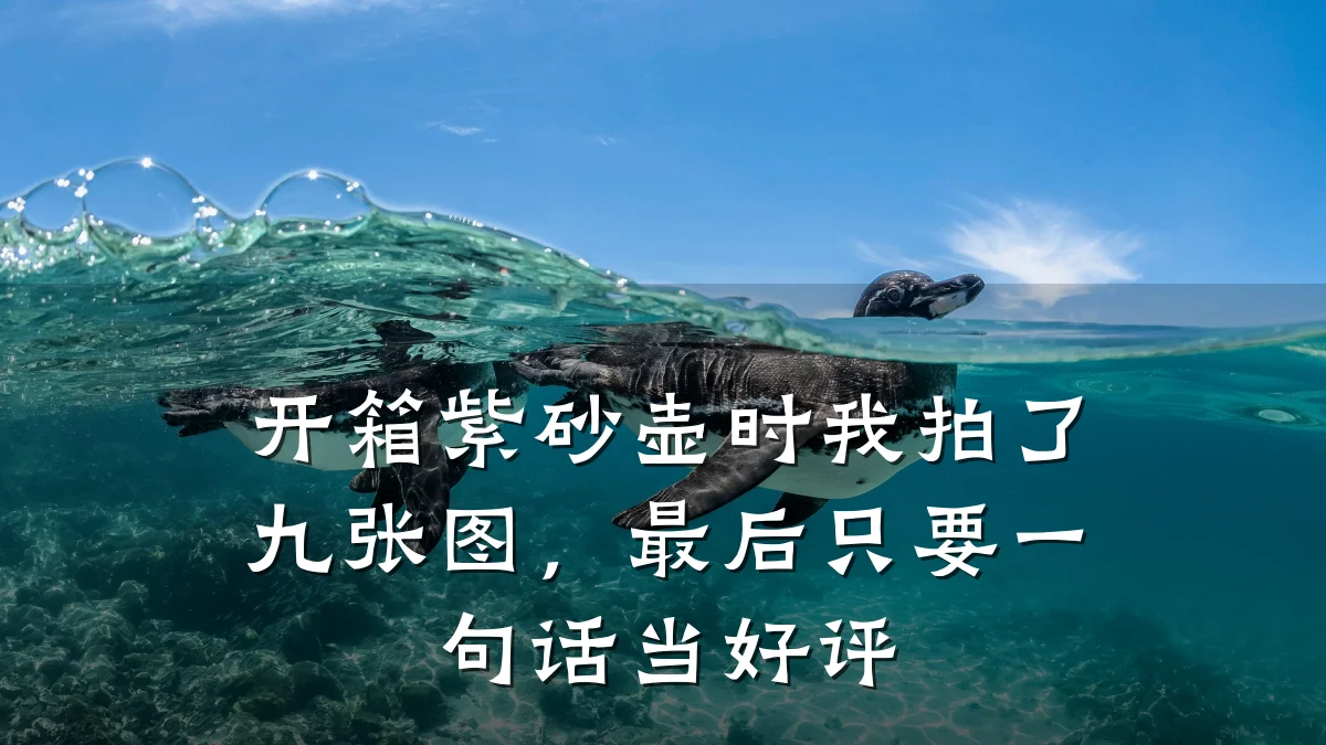 开箱紫砂壶时我拍了九张图，最后只要一句话当好评