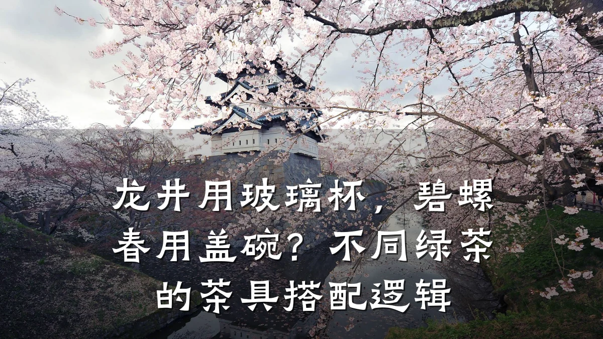 龙井用玻璃杯，碧螺春用盖碗？不同绿茶的茶具搭配逻辑