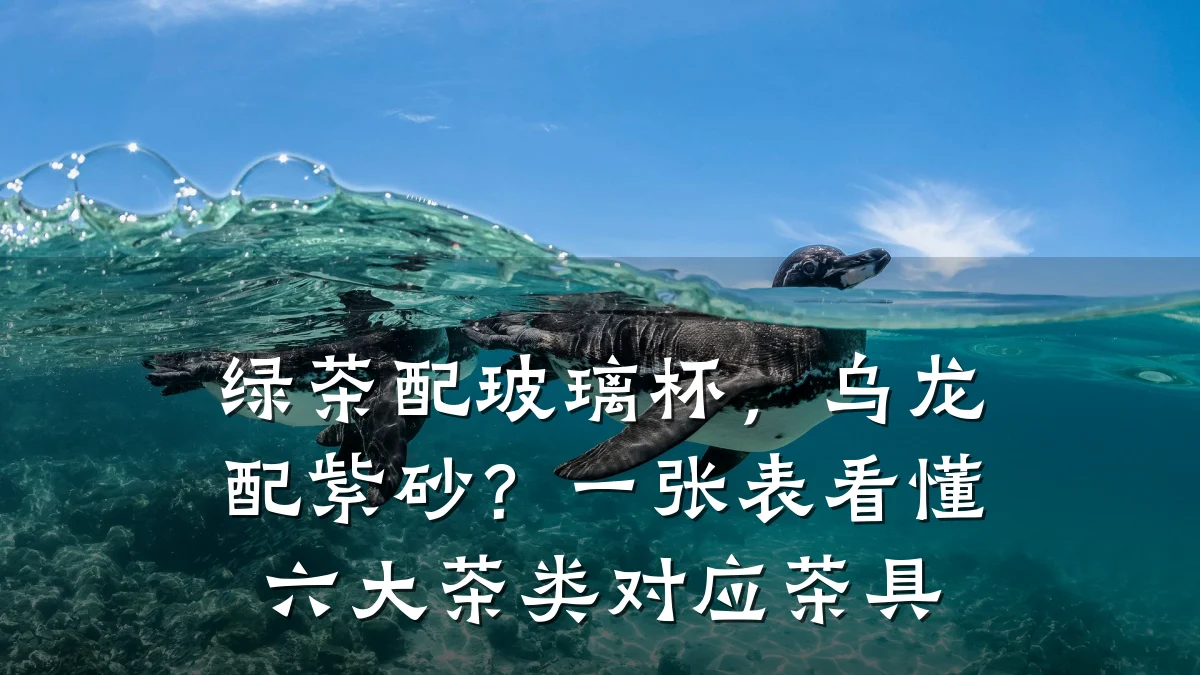 绿茶配玻璃杯，乌龙配紫砂？一张表看懂六大茶类对应茶具
