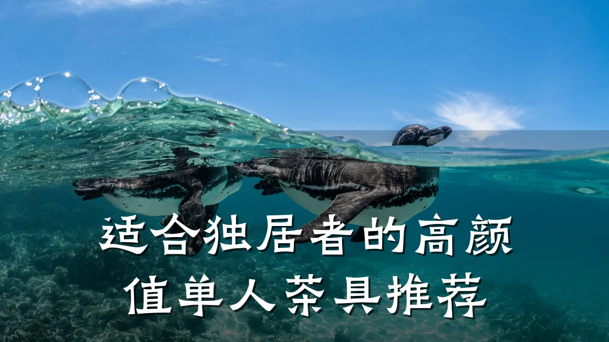 适合独居者的高颜值单人茶具推荐