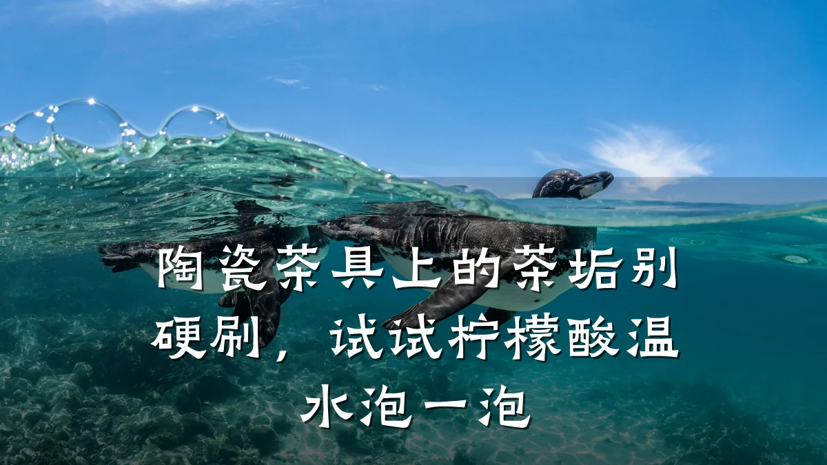 陶瓷茶具上的茶垢别硬刷，试试柠檬酸温水泡一泡