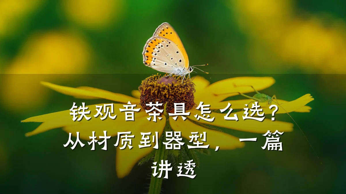 铁观音茶具怎么选？从材质到器型，一篇讲透
