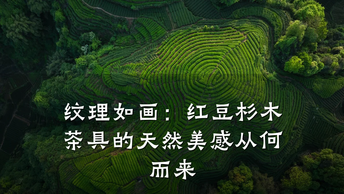 纹理如画：红豆杉木茶具的天然美感从何而来