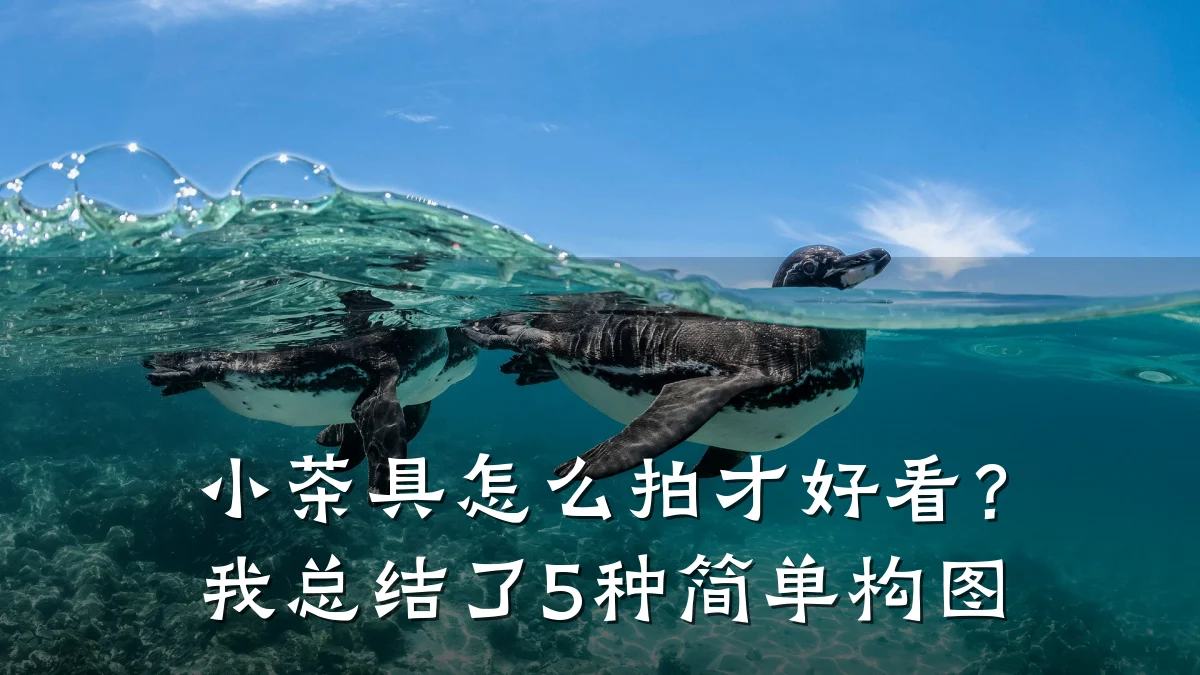 小茶具怎么拍才好看？我总结了5种简单构图