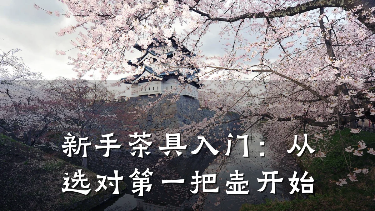 新手茶具入门：从选对第一把壶开始