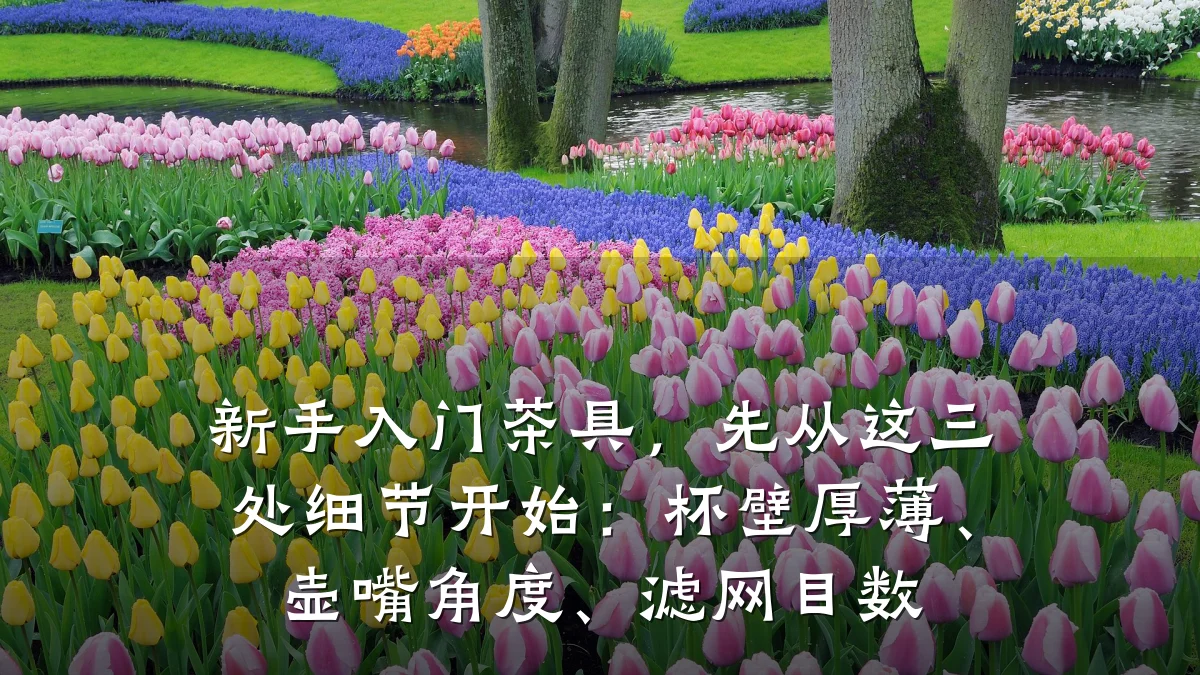 新手入门茶具，先从这三处细节开始：杯壁厚薄、壶嘴角度、滤网目数