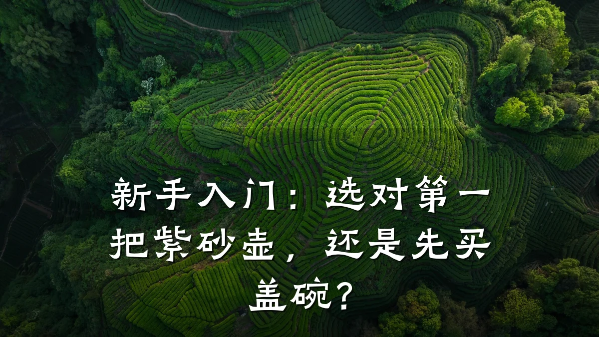 新手入门：选对第一把紫砂壶，还是先买盖碗？