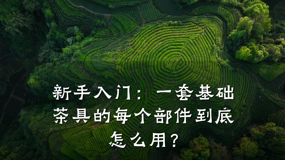新手入门:一套基础茶具的每个部件到底怎么用?