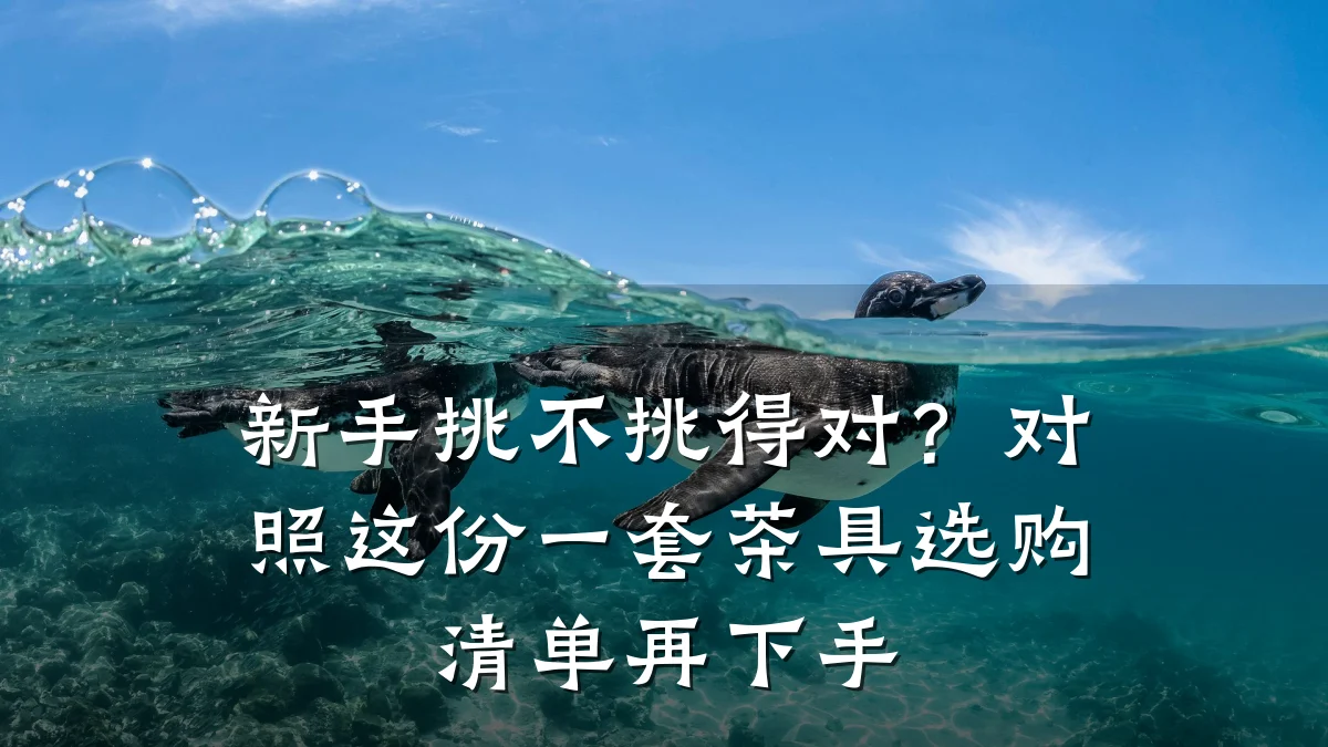 新手挑不挑得对?对照这份一套茶具选购清单再下手