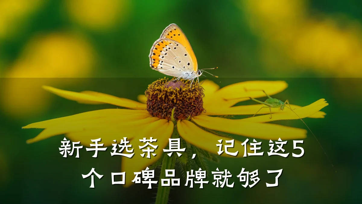 新手选茶具，记住这5个口碑品牌就够了