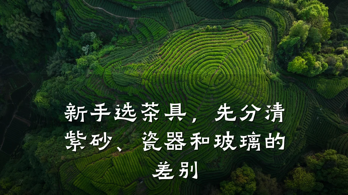 新手选茶具，先分清紫砂、瓷器和玻璃的差别