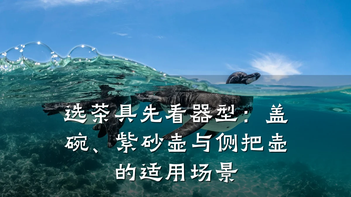 选茶具先看器型：盖碗、紫砂壶与侧把壶的适用场景