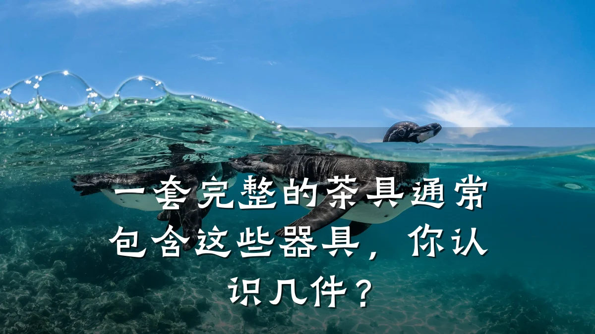 一套完整的茶具通常包含这些器具，你认识几件？
