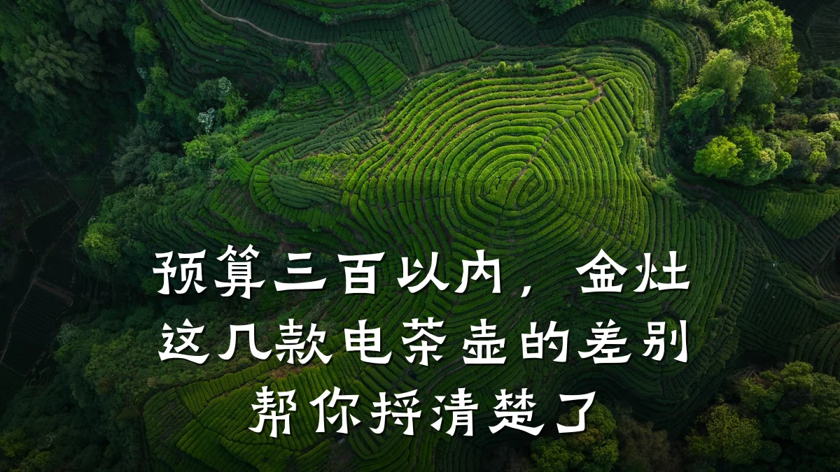 预算三百以内，金灶这几款电茶壶的差别帮你捋清楚了