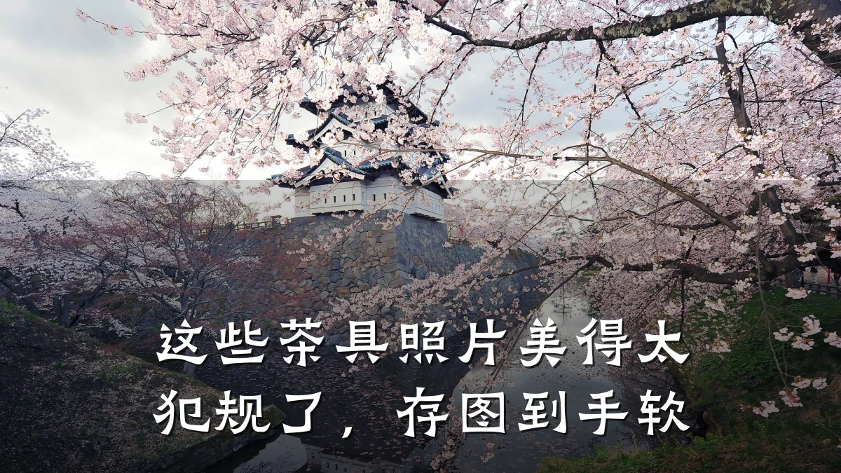 这些茶具照片美得太犯规了，存图到手软