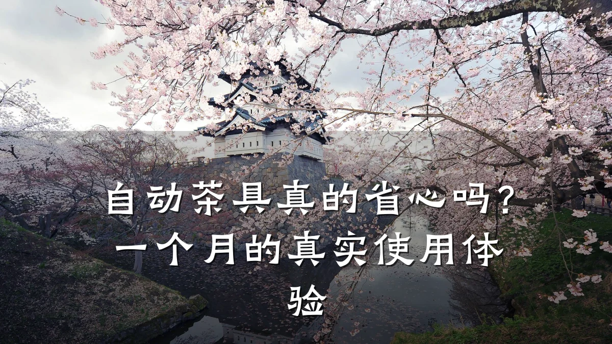 自动茶具真的省心吗？一个月的真实使用体验