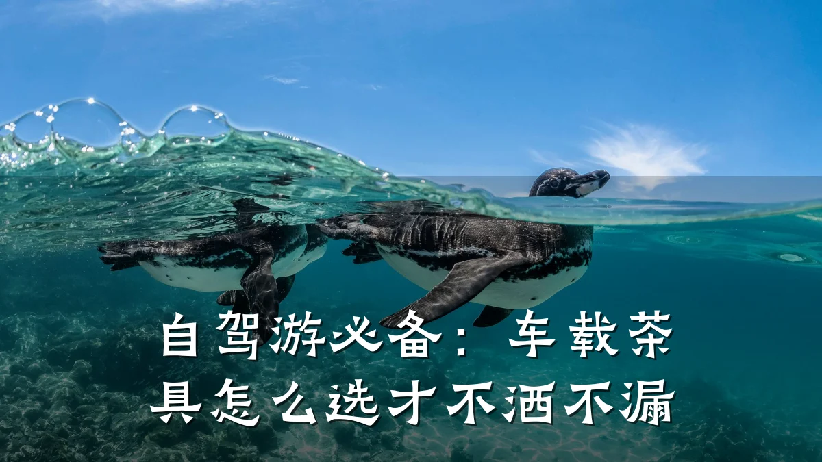 自驾游必备：车载茶具怎么选才不洒不漏