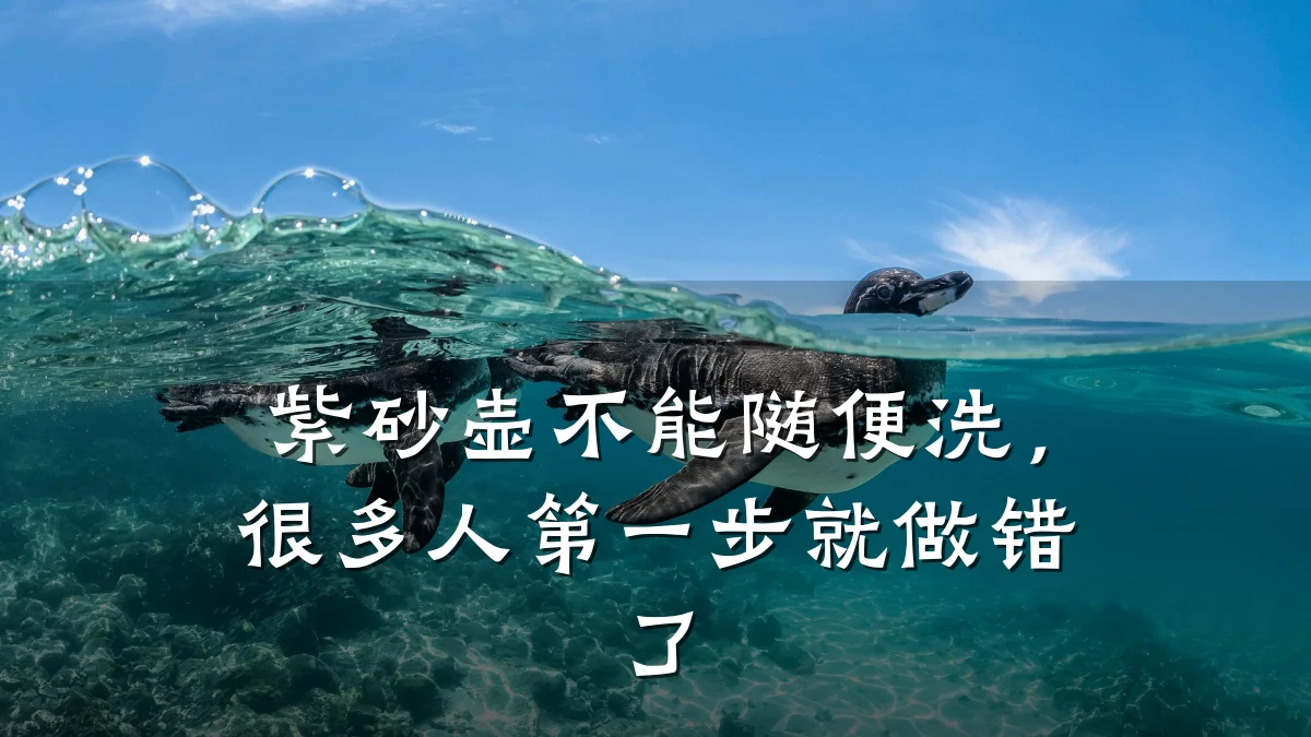 紫砂壶不能随便洗，很多人第一步就做错了