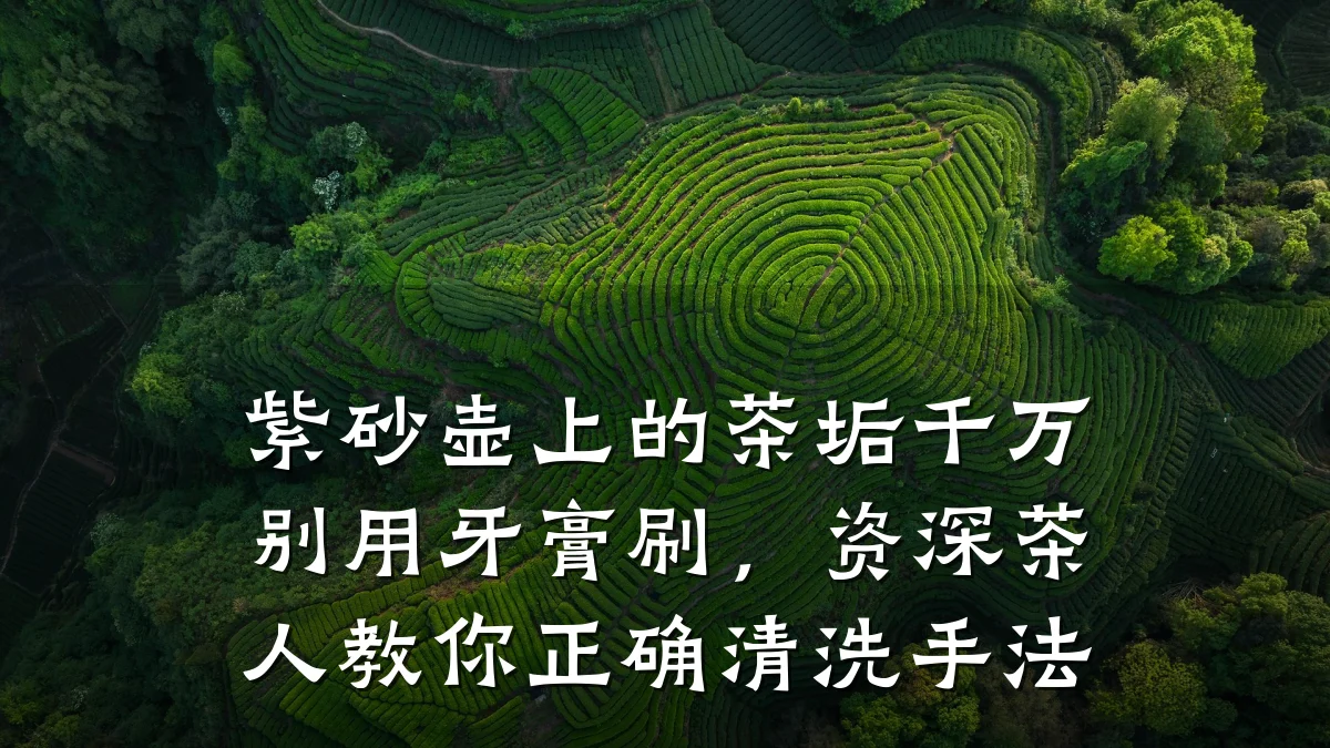 紫砂壶上的茶垢千万别用牙膏刷，资深茶人教你正确清洗手法