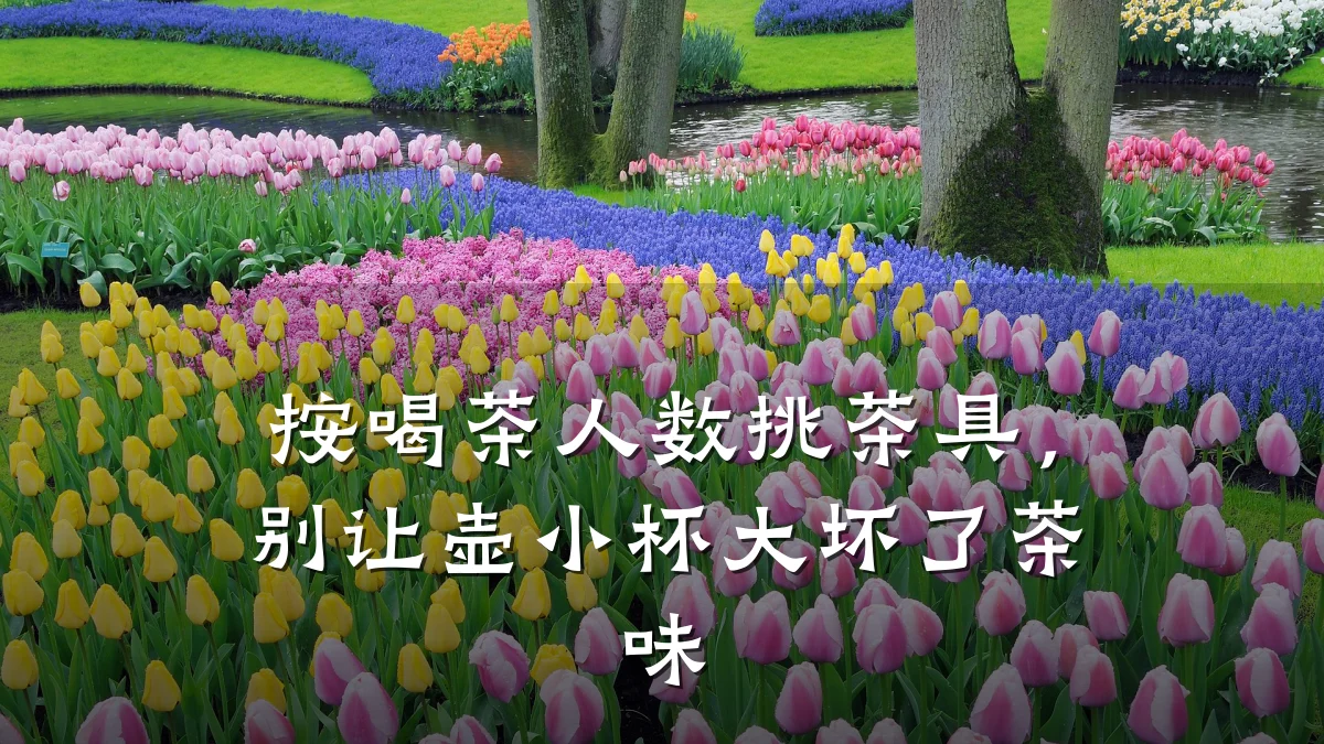 按喝茶人数挑茶具，别让壶小杯大坏了茶味