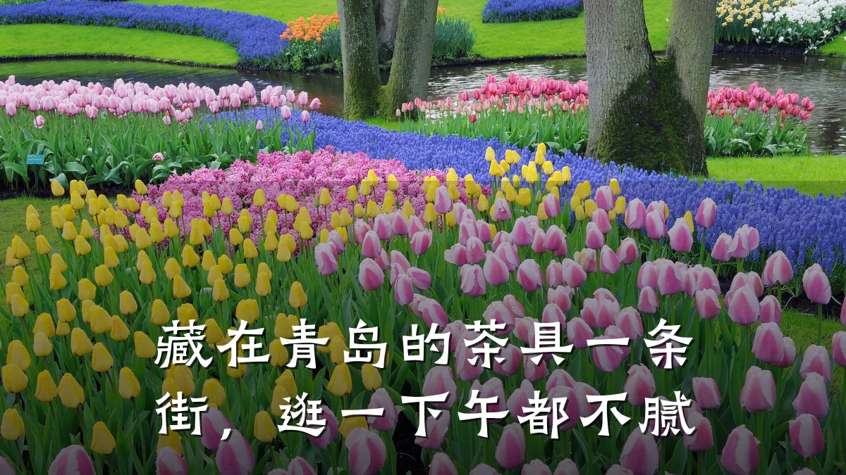 藏在青岛的茶具一条街，逛一下午都不腻