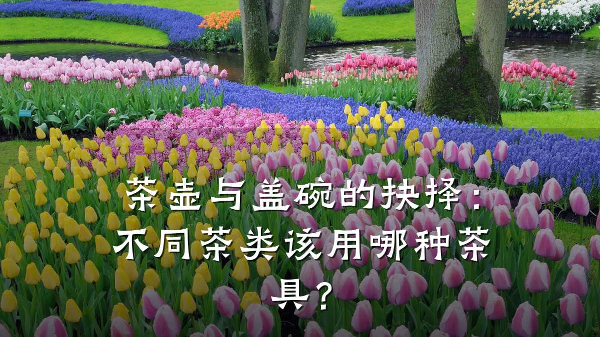 茶壶与盖碗的抉择：不同茶类该用哪种茶具？