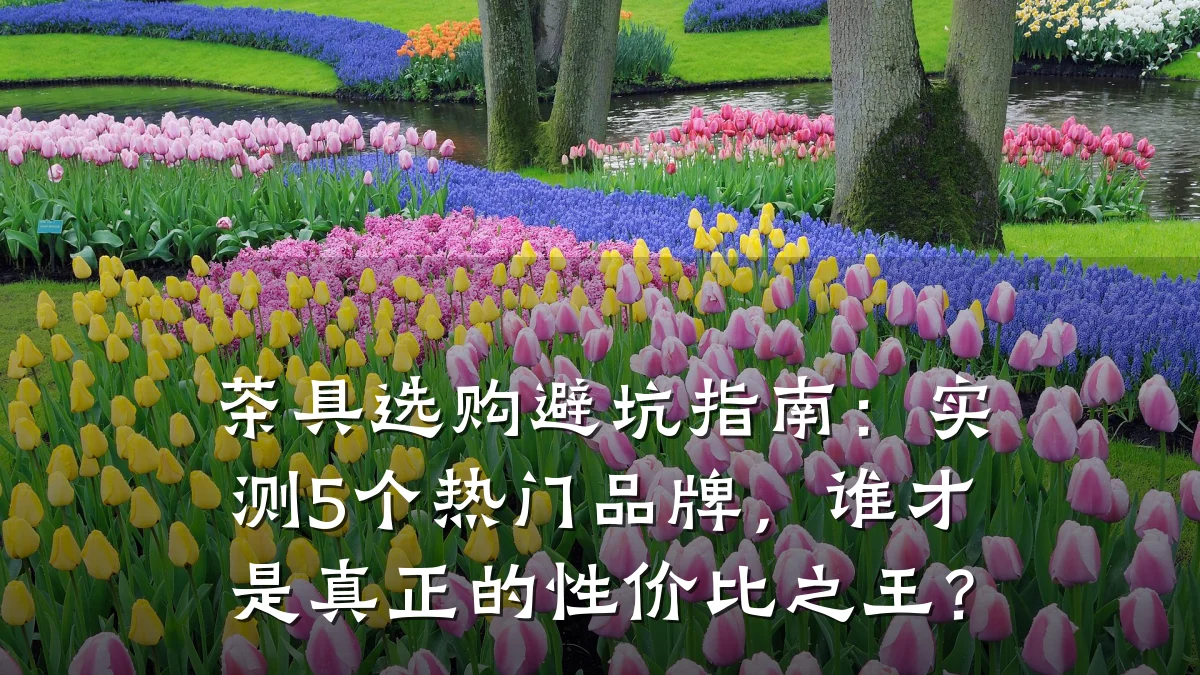 茶具选购避坑指南：实测5个热门品牌，谁才是真正的性价比之王？