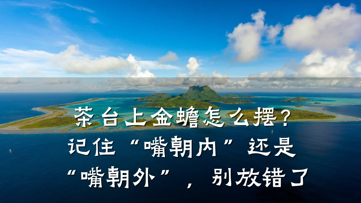 茶台上金蟾怎么摆？记住“嘴朝内”还是“嘴朝外”，别放错了