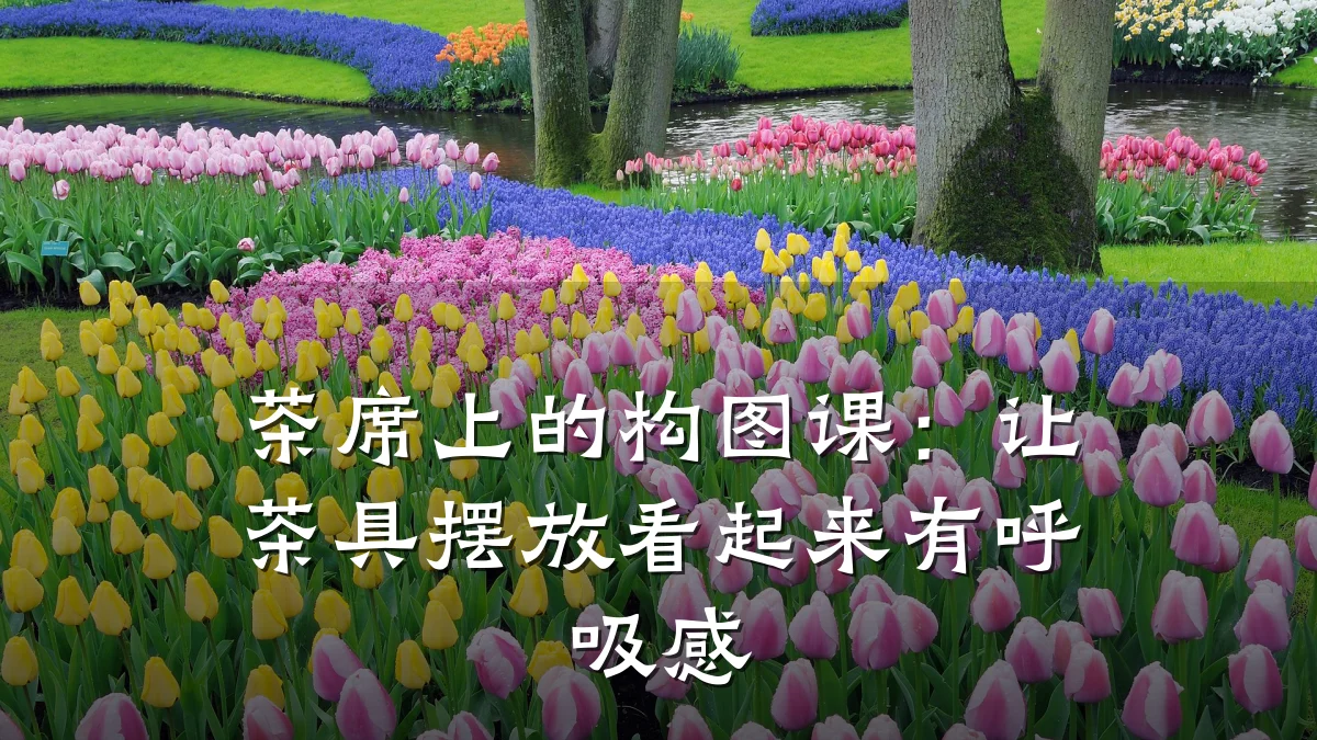 茶席上的构图课：让茶具摆放看起来有呼吸感