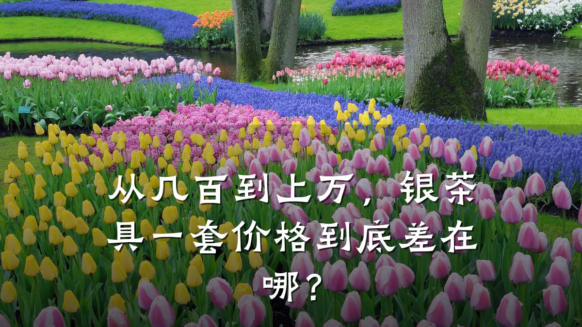 从几百到上万,银茶具一套价格到底差在哪?