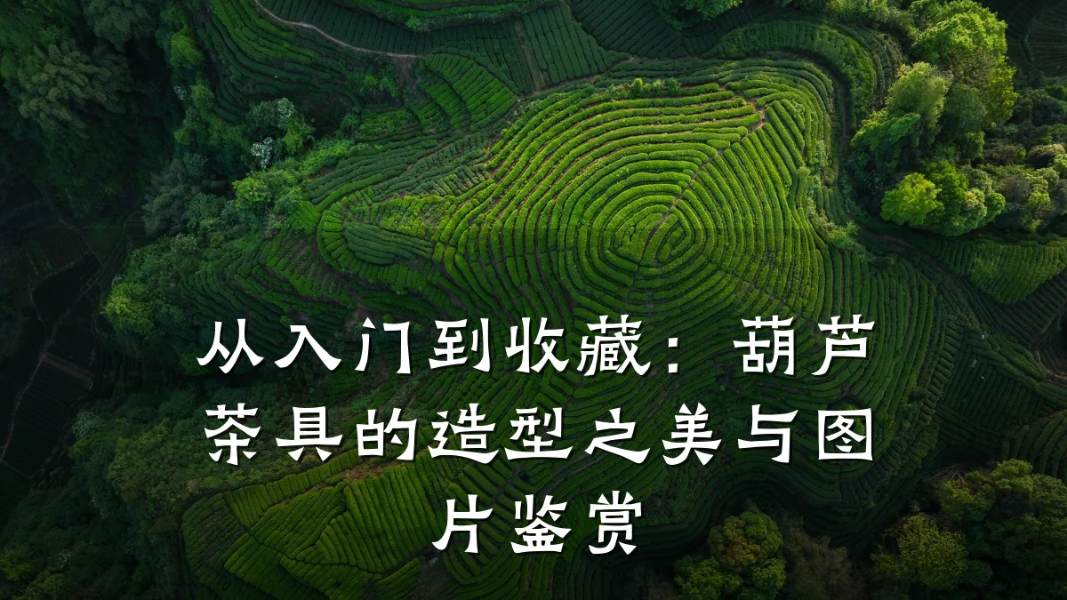 从入门到收藏：葫芦茶具的造型之美与图片鉴赏