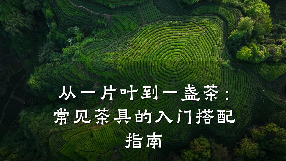 从一片叶到一盏茶：常见茶具的入门搭配指南