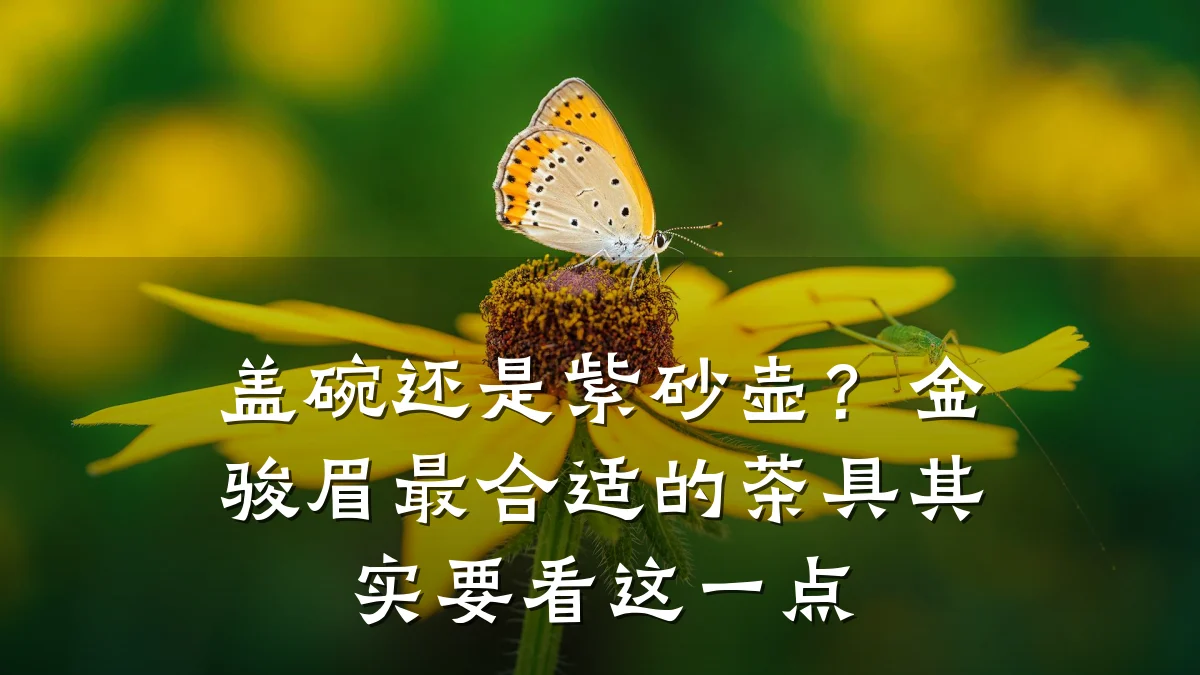 盖碗还是紫砂壶？金骏眉最合适的茶具其实要看这一点