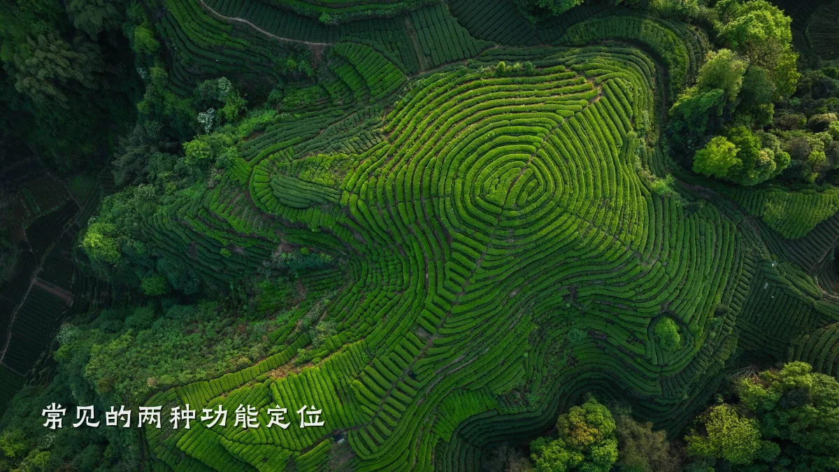 常见的两种功能定位