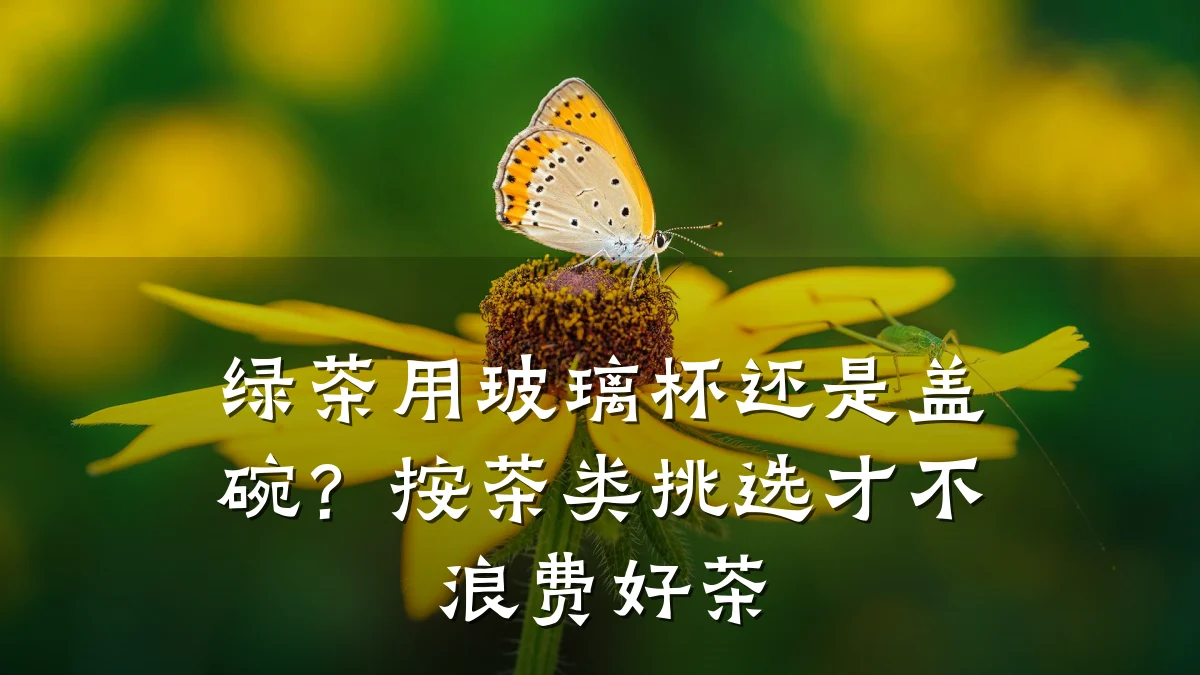 绿茶用玻璃杯还是盖碗？按茶类挑选才不浪费好茶