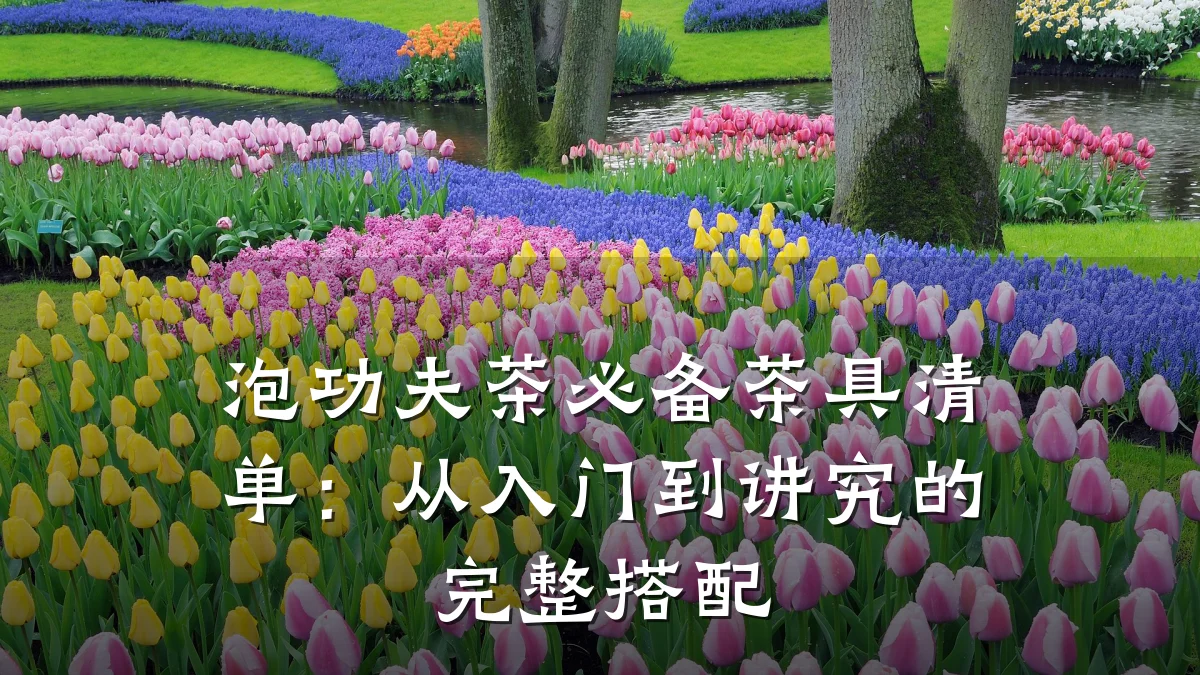 泡功夫茶必备茶具清单：从入门到讲究的完整搭配